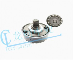 Appliance switch